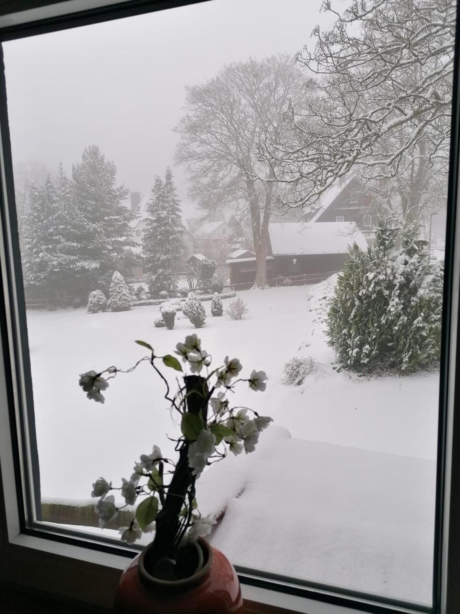 Villa Winterberg Mollseifen Bagian luar foto
